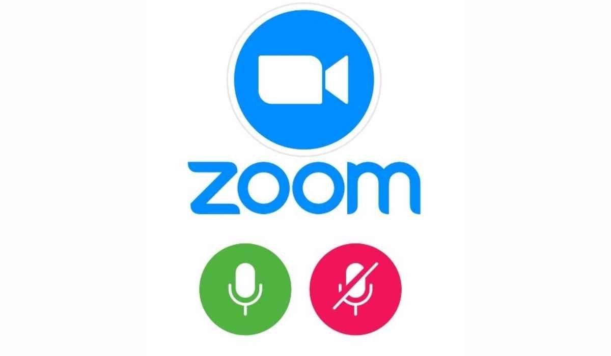 Zoom microphone not working laptop
