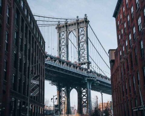 things to do during a layover in new york