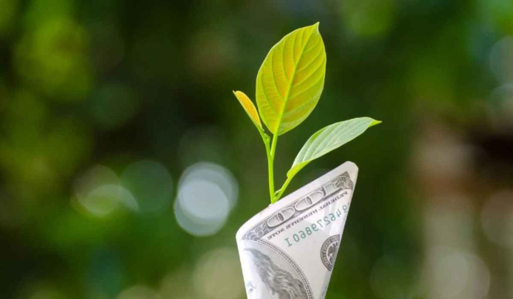 What makes a stock undervalued