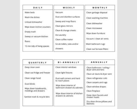 how to get my house organized and clean