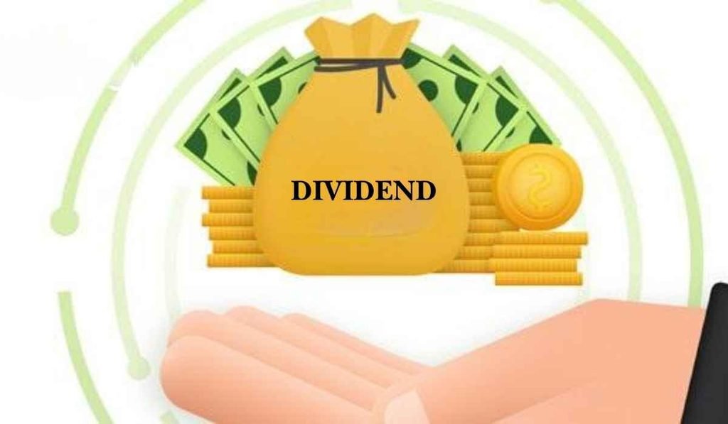 what are company dividends