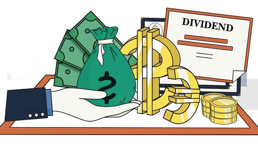 what are company dividends