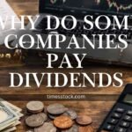 why do some companies pay dividends